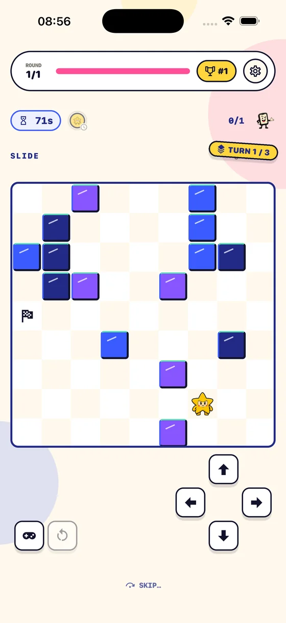Ice Rink